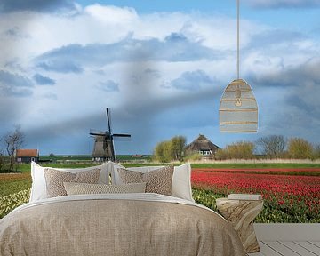 Windmill with tulip flower fields in the countryside by iPics Photography