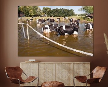 Cows in water.  Dutch landscape von Irene Kuizenga