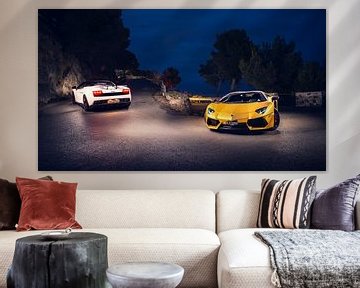 Lamborghini Duo von Ansho Bijlmakers