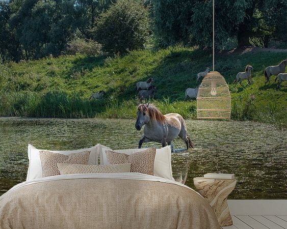 Aperçu de la chambre