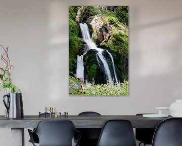 Wasserfall in Triberg (Deutschland) von Karin van Waesberghe