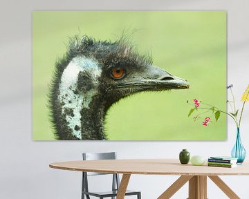 close-up van een struisvogel by Marcel Boelens