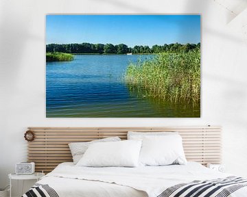 Landscape on a lake with reeds van Rico Ködder