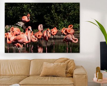 Flamingos van Klaus-Dieter Schulze
