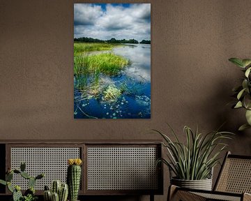 Beeld vanuit natuurontwikkeling Millingerwaard van Waterpieper Fotografie