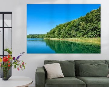 Landscape on a lake with trees