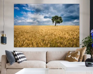 A lone tree on top of a mountain in a cornfield sur Etienne Hessels
