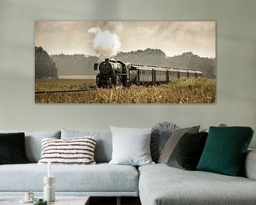 Steam train in the corn fields #1 by Sjoerd van der Wal