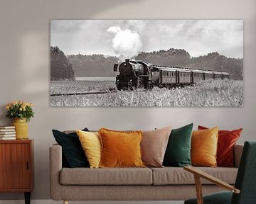Alten Dampfzug in den Maisfeldern # 2 von Sjoerd van der Wal Fotografie