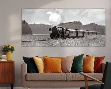 Steam train in the corn fields #2 by Sjoerd van der Wal Photography