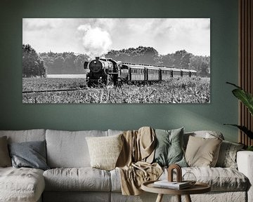 Steam train in the corn fields #4 by Sjoerd van der Wal