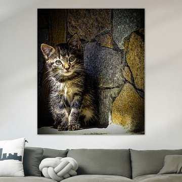 Flumet onze nieuwe aanwinst