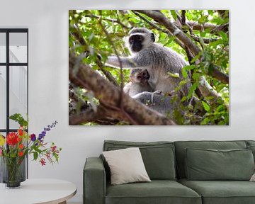 Mother and child, Kruger National Park, South Africa sur Rebecca Dingemanse