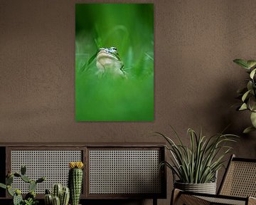 pool frog van Jana Behr
