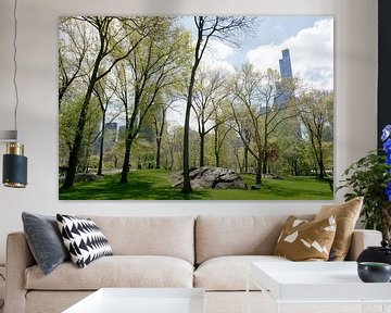 Spring Trees in Central Park, New York