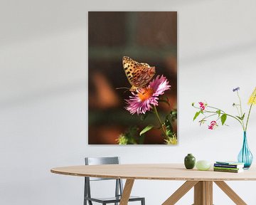 butterfly by Klaus-Dieter Schulze