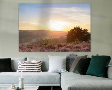 Le lever de soleil au-dessus de Heather de floraison met en place dans les collines sur Sjoerd van der Wal Photographie