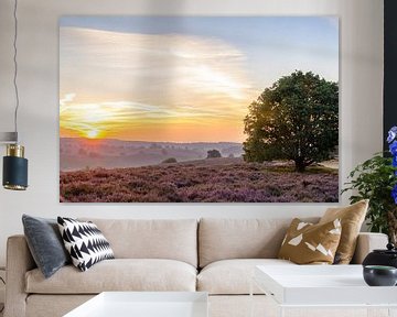 Sonnenaufgang über blühenden Heidekrautfeldern in den Hügeln von Sjoerd van der Wal Fotografie