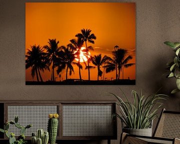 Waikiki Sunset van Sandra Frevel
