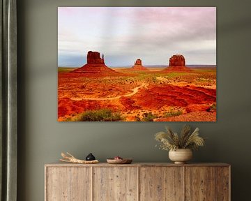 Monument Valley (USA) van Véronique Termoshuizen