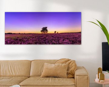 Purple Sunset - Ginkelse Heide van Joram Janssen