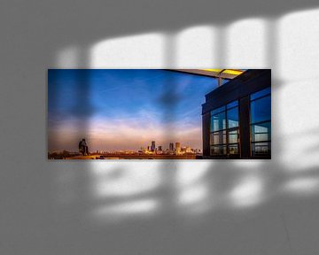 Panorama van Rotterdam RawBird Photo's Wouter Putter
