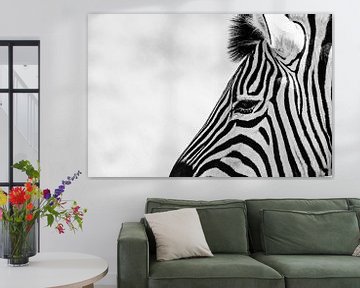 Zebra van Leendert van Bergeijk