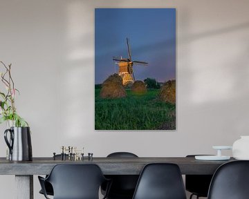 Kinderdijk van Jan Koppelaar