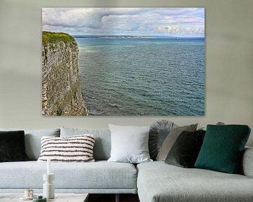 Bempton Cliffs by Gisela Scheffbuch