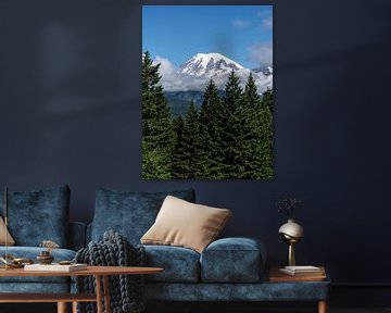 Mount Rainier National Park by MirjamCornelissen - Fotografie