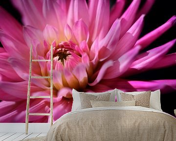 It's a pink Dahlia.. van LHJB Photography