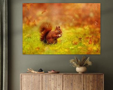 A red Squirrel in a autum scene by LHJB Photography