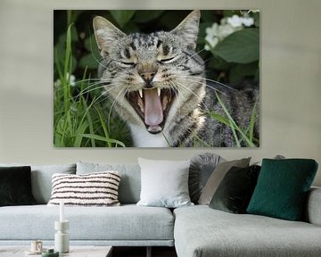 gapende/ lachende poes