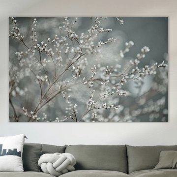 Blüte von Jessica Berendsen