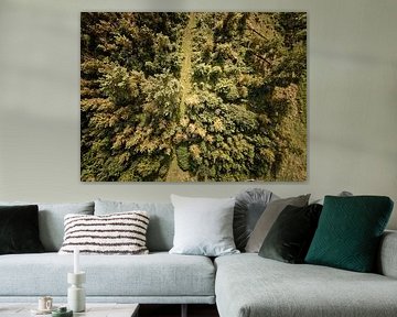 Bos von Van Renselaar Fotografie