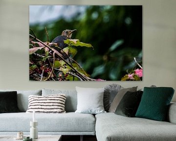 Nieuwschierige vogel