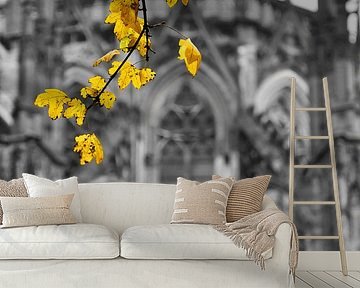 Dom in de herfst van MattScape Photography