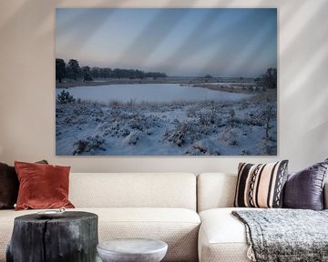 Winters Ven van Jan van der Meer