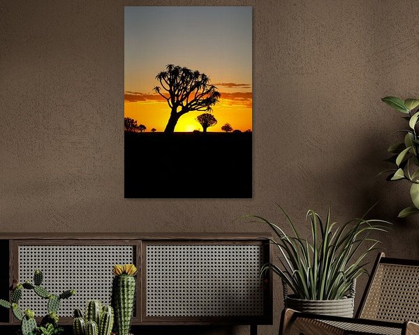 Kokerbomenwoud  in Namibië