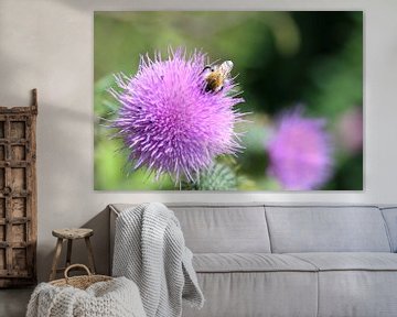 Distel met insect. van Carla Kragten-Looijen