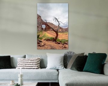 Monument Valley van Richard Reuser