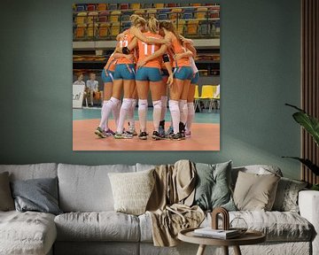 Nederlands Team Dames Volleybal