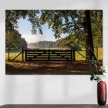 Sunny September View