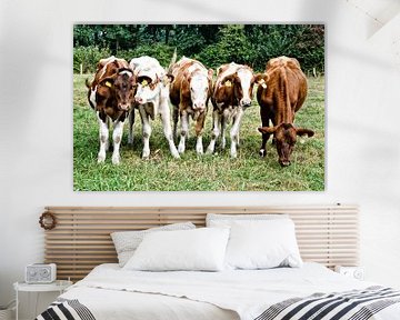 Koeien van Jessica Berendsen