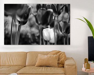 Tulpen Zwart-Wit van Jessica Berendsen