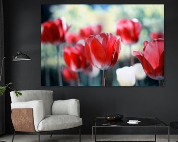 Red Tulips by Jessica Berendsen