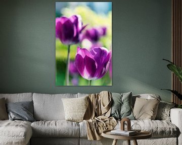 Paarse Tulpen van Jessica Berendsen