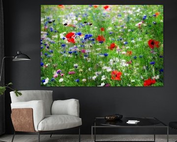 Flowers Field of poppies and cornflowers by Jessica Berendsen