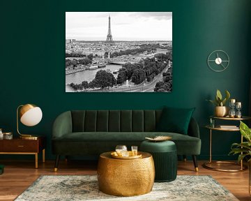 De Seine, Pont Alexandre en de Eiffeltoren van Michaelangelo Pix