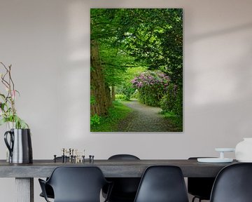 Going for a Walk - Blooming Rhododendron Shrubs by Gisela Scheffbuch